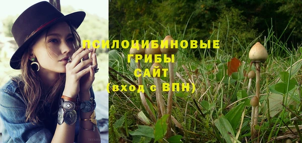 apvp Алексеевка