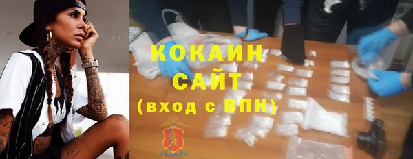 стафф Алексин