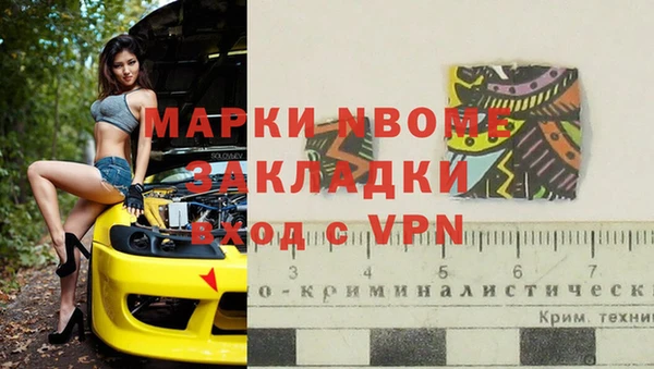 стафф Алексин