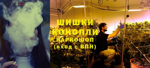 молекула духа Нефтекумск